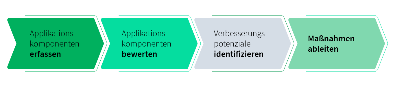 Eine Schritt-für-Schritt-Anleitung des zyklischen APM-Vorgehensmodells