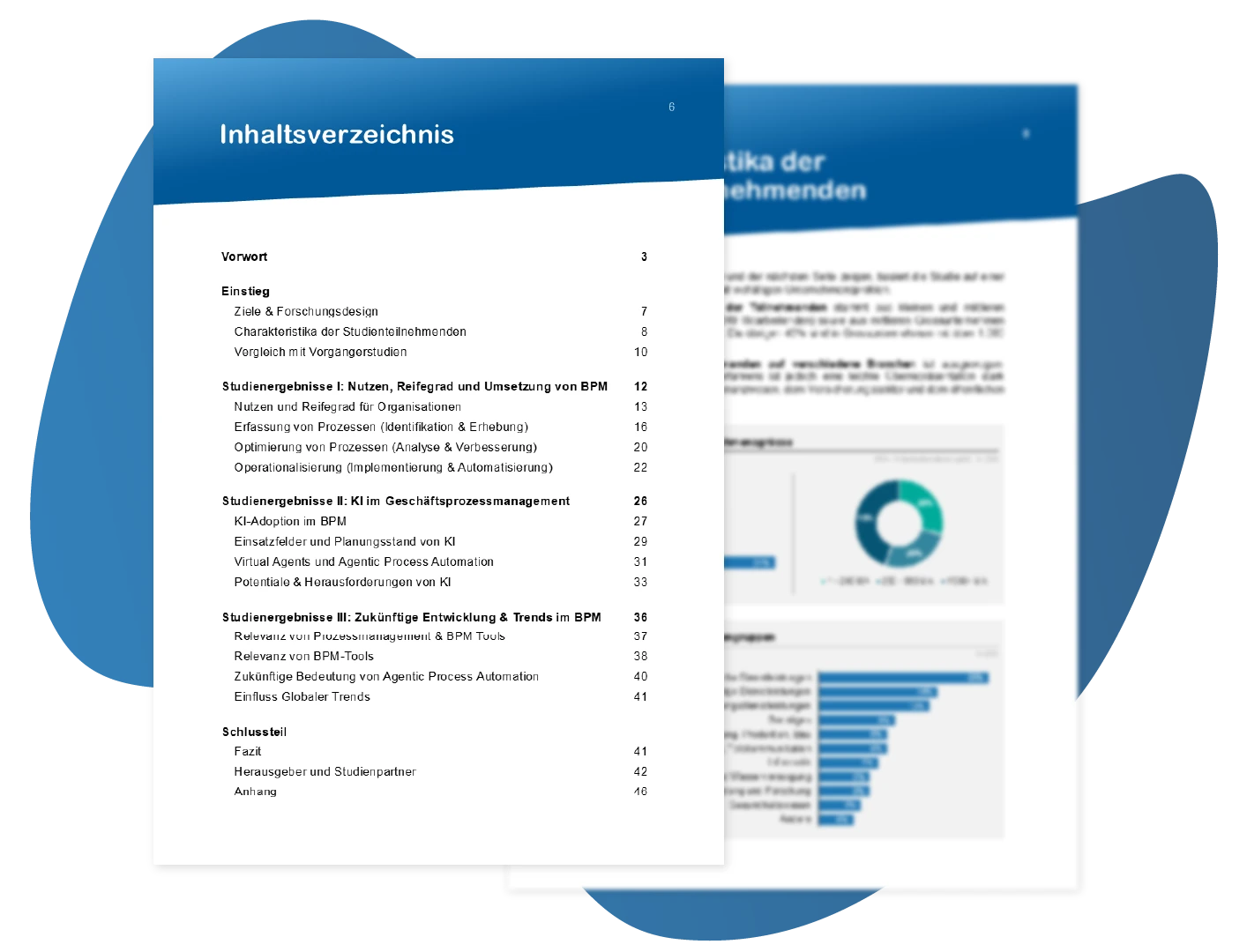 BPM Study 2025_Assessment