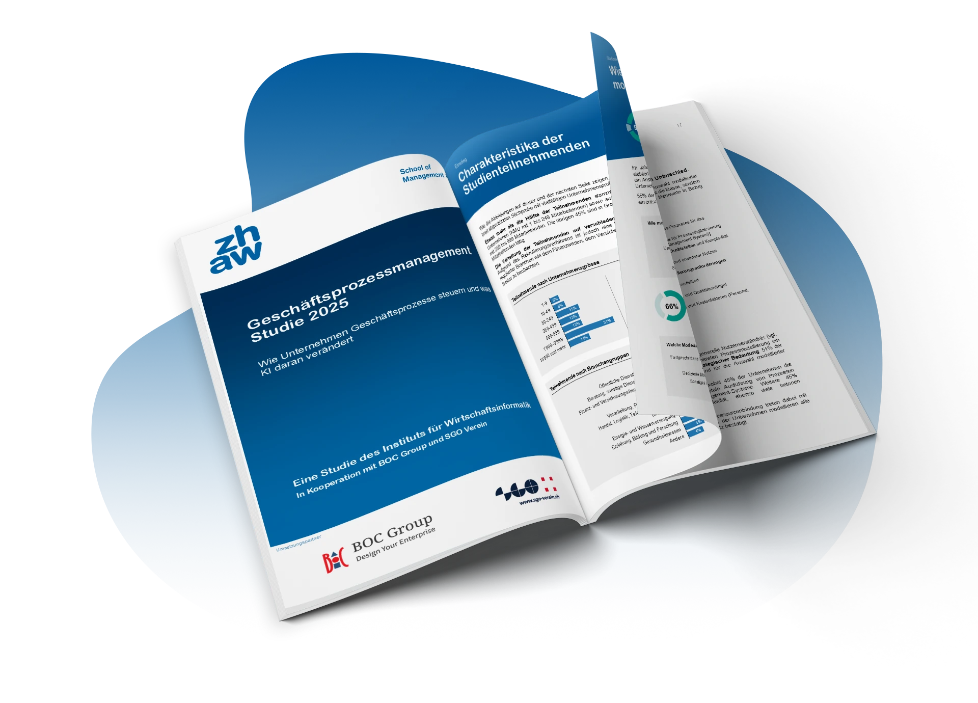 Resources_Whitepaper-BPM Study 2025